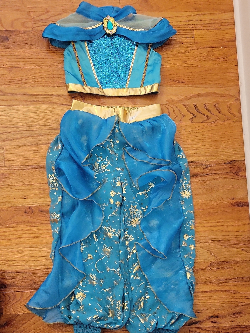 Disney Blue and Gold JASMINE Genie Costume